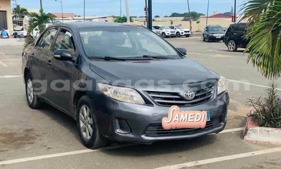 Buy Used Toyota Corolla Other Car in Dakar in Dakar Buy Used Toyota Corolla Other Car in Dakar in Dakar