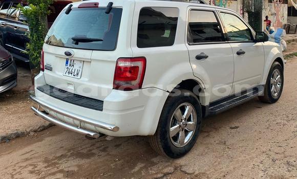 Acheter Occasion Voiture Ford Escape Blanc à Dakar, Dakar Acheter Occasion Voiture Ford Escape Blanc à Dakar, Dakar