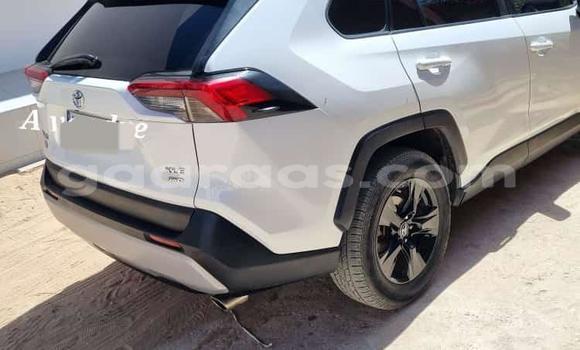 Acheter Import Voiture Toyota RAV4 Blanc à Dakar, Dakar
