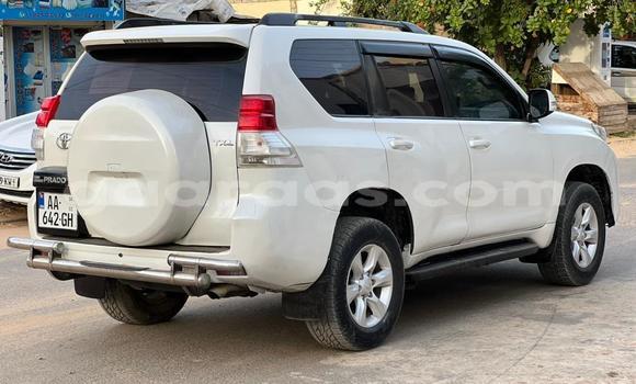 Dieundeu Occasion Toyota Prado White Auto in Dakar in Dakar Dieundeu Occasion Toyota Prado White Auto in Dakar in Dakar