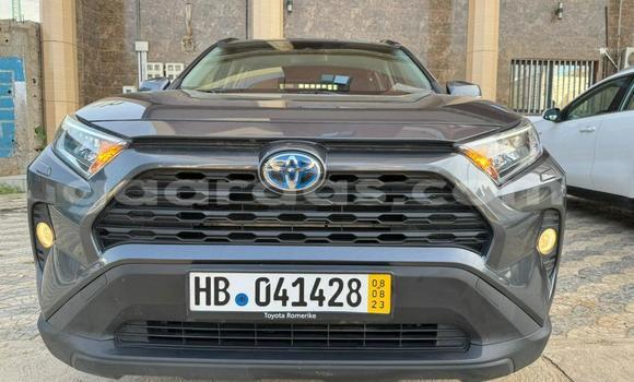 Acheter Import Voiture Toyota RAV4 Gris à Dakar, Dakar Acheter Import Voiture Toyota RAV4 Gris à Dakar, Dakar