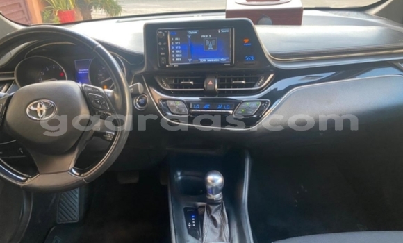 Dieundeu Occasion Toyota C-HR Silver Auto in Dakar in Dakar Dieundeu Occasion Toyota C-HR Silver Auto in Dakar in Dakar