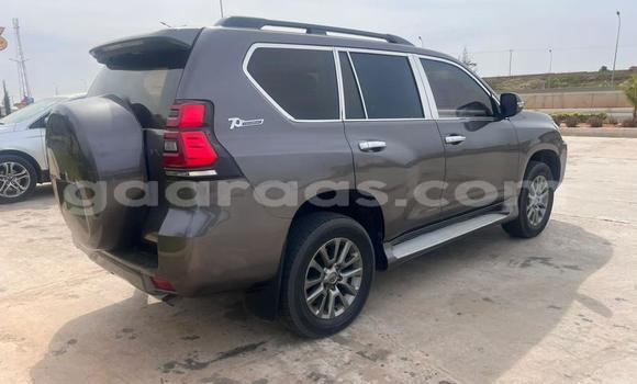 Dieundeu Occasion Toyota Land Cruiser Silver Auto in Dakar in Dakar