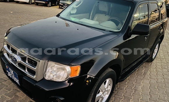 Dieundeu Occasion Ford Escape Black Auto in Dakar in Dakar Dieundeu Occasion Ford Escape Black Auto in Dakar in Dakar