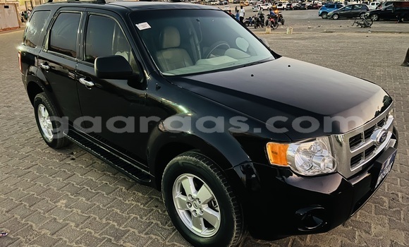 Dieundeu Occasion Ford Escape Black Auto in Dakar in Dakar Dieundeu Occasion Ford Escape Black Auto in Dakar in Dakar