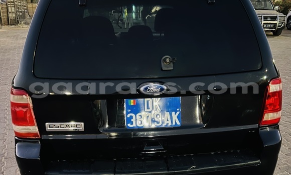 Dieundeu Occasion Ford Escape Black Auto in Dakar in Dakar Dieundeu Occasion Ford Escape Black Auto in Dakar in Dakar