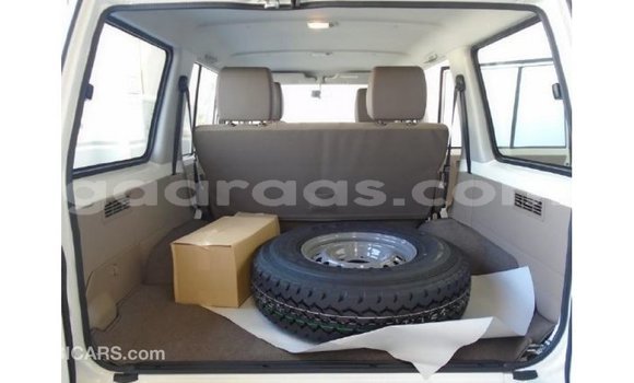 Acheter Import Utilitaire Toyota Land Cruiser Other à Import - Dubai, Diourbel