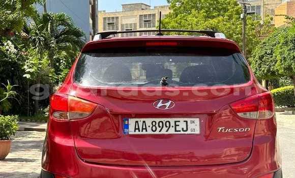Dieundeu Occasion Hyundai Tucson Red Auto in Dakar in Dakar Dieundeu Occasion Hyundai Tucson Red Auto in Dakar in Dakar