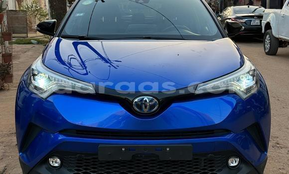 Buy Import Toyota C-HR Blue Car in Dakar in Dakar