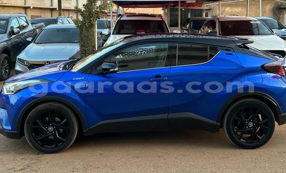 Acheter Import Voiture Toyota C-HR Bleu à Dakar, Dakar Acheter Import Voiture Toyota C-HR Bleu à Dakar, Dakar
