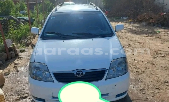 Acheter Occasion Voiture Toyota Corolla Blanc à Gossas, Fatick Acheter Occasion Voiture Toyota Corolla Blanc à Gossas, Fatick