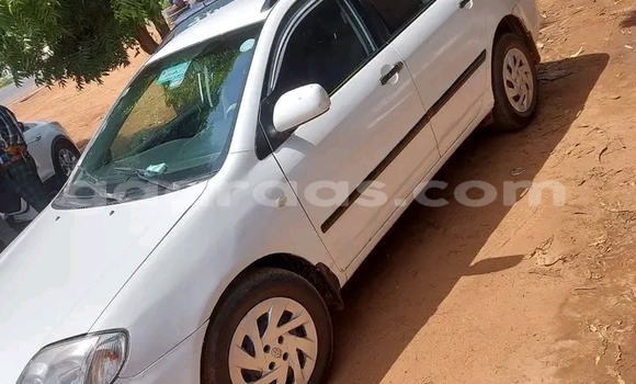 Acheter Occasion Voiture Toyota Corolla Blanc à Gossas, Fatick Acheter Occasion Voiture Toyota Corolla Blanc à Gossas, Fatick