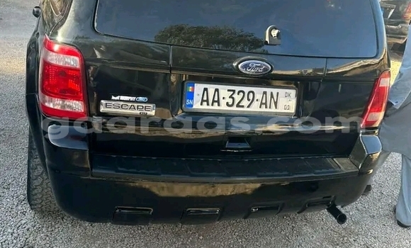 Dieundeu Occasion Ford Escape Black Auto in Dakar in Dakar Dieundeu Occasion Ford Escape Black Auto in Dakar in Dakar