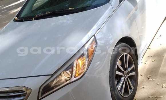 Dieundeu Occasion Hyundai Sonata White Auto in Dakar in Dakar Dieundeu Occasion Hyundai Sonata White Auto in Dakar in Dakar