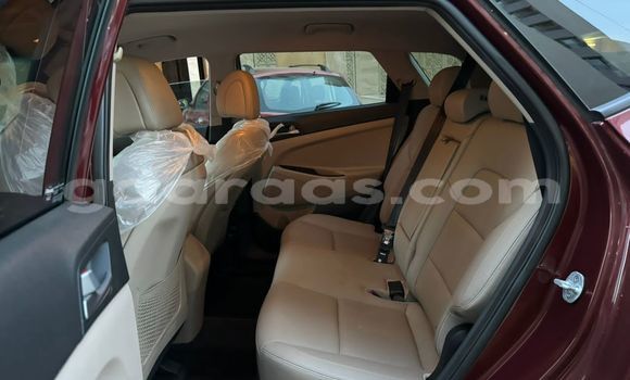 Buy Import Hyundai Tucson Brown Car in Dakar in Dakar Buy Import Hyundai Tucson Brown Car in Dakar in Dakar