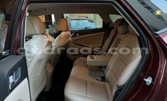 Buy Import Hyundai Tucson Brown Car in Dakar in Dakar Buy Import Hyundai Tucson Brown Car in Dakar in Dakar