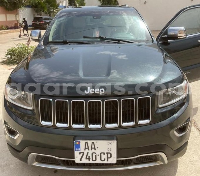 Big with watermark jeep grand cherokee dakar dakar 13129