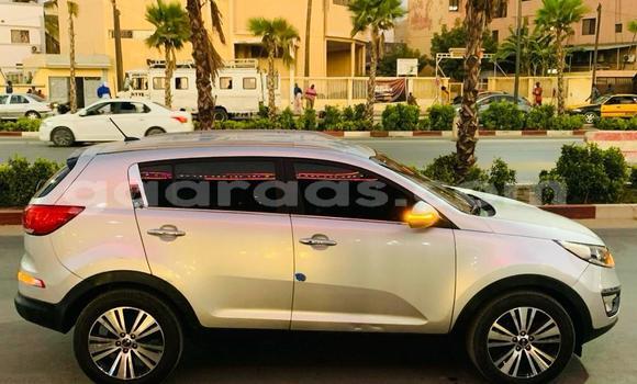 Buy New Kia Sportage White Car in Dakar in Dakar Buy New Kia Sportage White Car in Dakar in Dakar