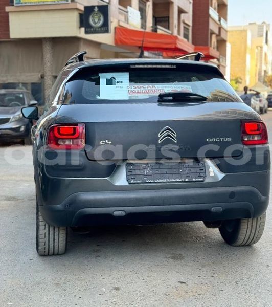 Big with watermark citroen c4 cactus dakar dakar 13171