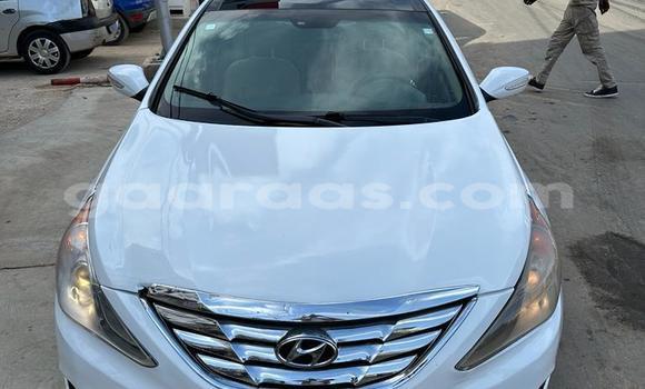Buy Used Hyundai Sonata White Car in Dakar in Dakar Buy Used Hyundai Sonata White Car in Dakar in Dakar