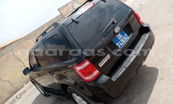Dieundeu Occasion Ford Escape Black Auto in Dakar in Dakar Dieundeu Occasion Ford Escape Black Auto in Dakar in Dakar