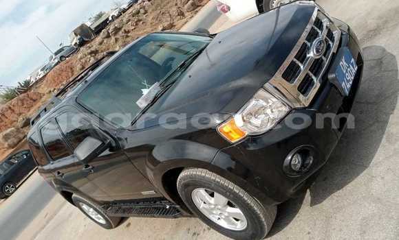 Dieundeu Occasion Ford Escape Black Auto in Dakar in Dakar Dieundeu Occasion Ford Escape Black Auto in Dakar in Dakar