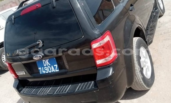 Dieundeu Occasion Ford Escape Black Auto in Dakar in Dakar Dieundeu Occasion Ford Escape Black Auto in Dakar in Dakar