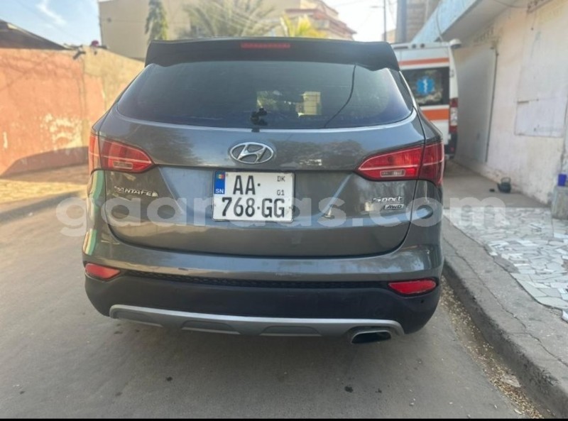 Big with watermark hyundai santa fe dakar dakar 13341