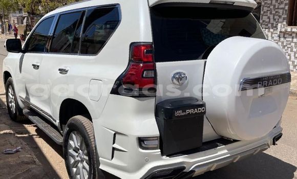 Buy Import Toyota Prado White Car in Dakar in Dakar