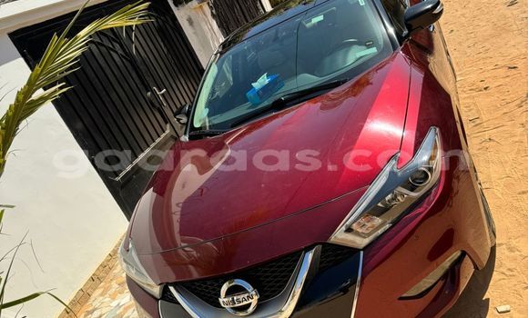 Buy Used Nissan Maxima Red Car in Dakar in Dakar