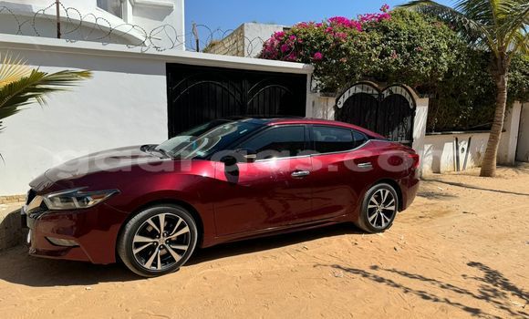 Buy Used Nissan Maxima Red Car in Dakar in Dakar Buy Used Nissan Maxima Red Car in Dakar in Dakar
