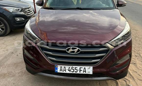 Dieundeu Occasion Hyundai Tucson Red Auto in Dakar in Dakar Dieundeu Occasion Hyundai Tucson Red Auto in Dakar in Dakar