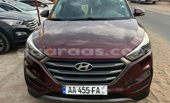Dieundeu Occasion Hyundai Tucson Red Auto in Dakar in Dakar Dieundeu Occasion Hyundai Tucson Red Auto in Dakar in Dakar