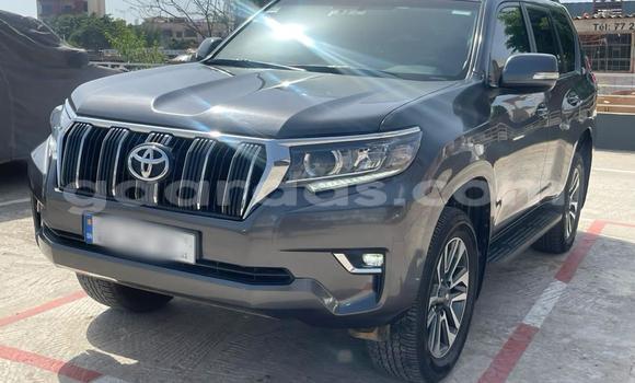 Dieundeu Occasion Toyota Land Cruiser Prado Silver Auto in Dakar in Dakar Dieundeu Occasion Toyota Land Cruiser Prado Silver Auto in Dakar in Dakar