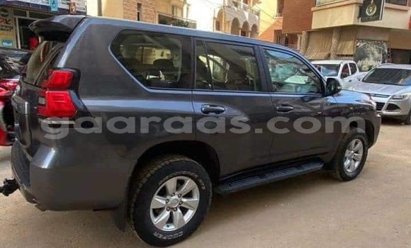 Buy Import Toyota Land Cruiser Prado Silver Car in Dakar in Dakar Buy Import Toyota Land Cruiser Prado Silver Car in Dakar in Dakar