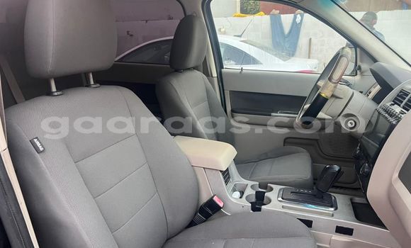 Buy Used Ford Escape Black Car in Dakar in Dakar Buy Used Ford Escape Black Car in Dakar in Dakar