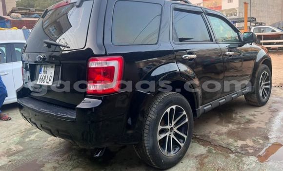 Buy Used Ford Escape Black Car in Dakar in Dakar Buy Used Ford Escape Black Car in Dakar in Dakar