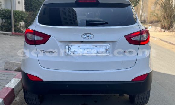 Dieundeu Occasion Hyundai Tucson White Auto in Dakar in Dakar Dieundeu Occasion Hyundai Tucson White Auto in Dakar in Dakar