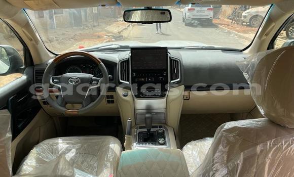 Acheter Import Voiture Toyota Land Cruiser Blanc à Dakar, Dakar Acheter Import Voiture Toyota Land Cruiser Blanc à Dakar, Dakar