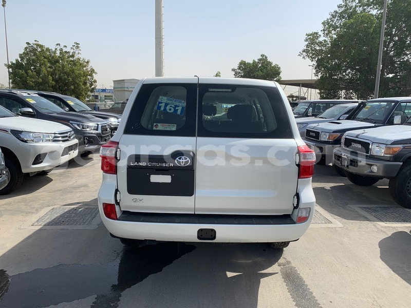 Big with watermark 6 47