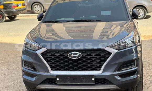 Dieundeu Occasion Hyundai Tucson Silver Auto in Dakar in Dakar Dieundeu Occasion Hyundai Tucson Silver Auto in Dakar in Dakar