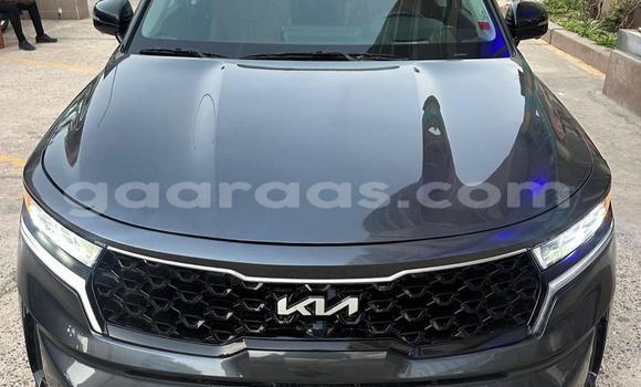 Acheter Import Voiture Kia Sorento Noir à Dakar, Dakar Acheter Import Voiture Kia Sorento Noir à Dakar, Dakar
