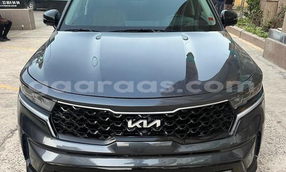 Acheter Import Voiture Kia Sorento Noir à Dakar, Dakar