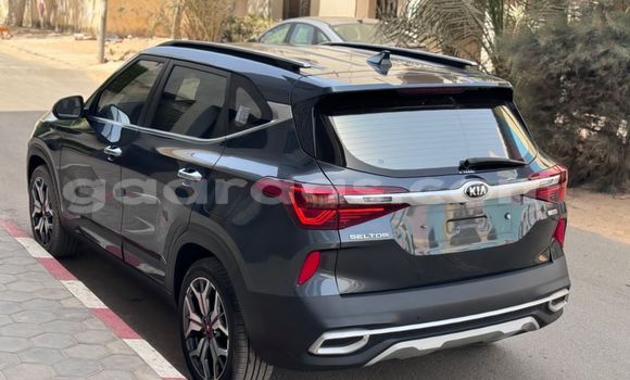 Buy Import Kia Sedona Silver Car in Dakar in Dakar