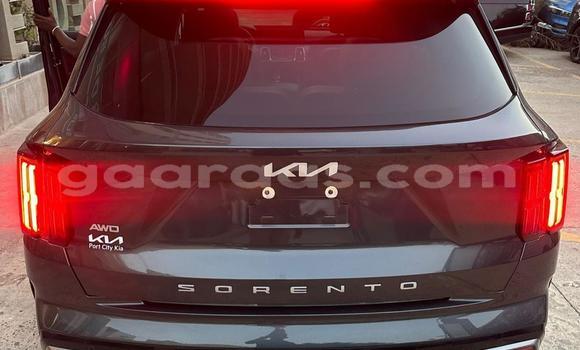 Acheter Import Voiture Kia Sorento Gris à Dakar, Dakar Acheter Import Voiture Kia Sorento Gris à Dakar, Dakar