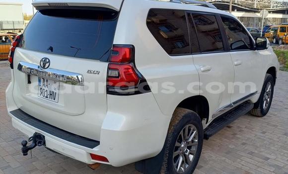 Cars for sale in senegal - gaaraas