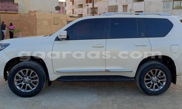 Acheter Import Voiture Toyota Land Cruiser Blanc à Dakar, Dakar Acheter Import Voiture Toyota Land Cruiser Blanc à Dakar, Dakar