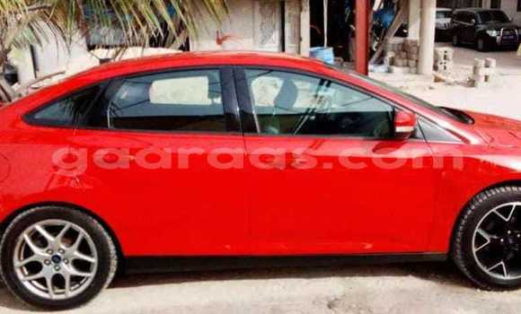 Buy Used Ford Focus Red Car in Dakar in Dakar Buy Used Ford Focus Red Car in Dakar in Dakar