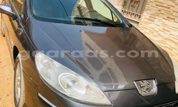 Acheter Occasion Voiture Peugeot 407 Gris à Dakar, Dakar