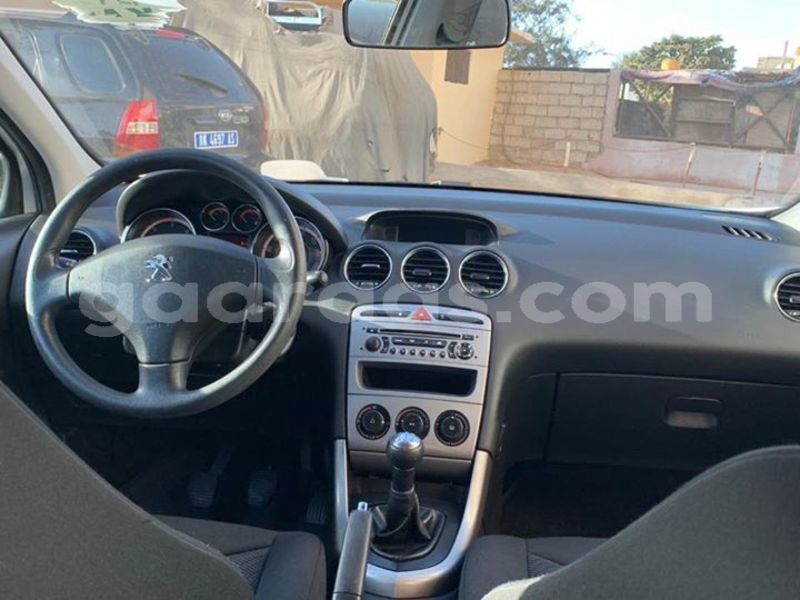 Big with watermark 51370526 2149504175364043 9132613412180721664 n